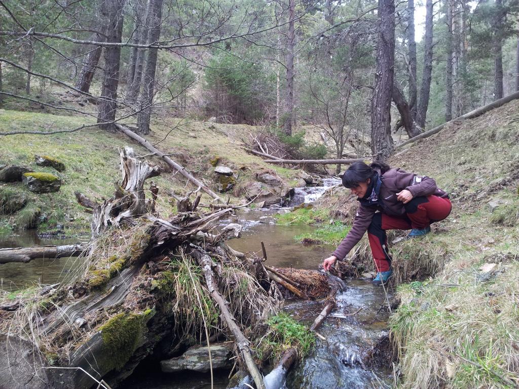 A Pousada Xalet Refugi Pere Carne La Molina  Exterior foto